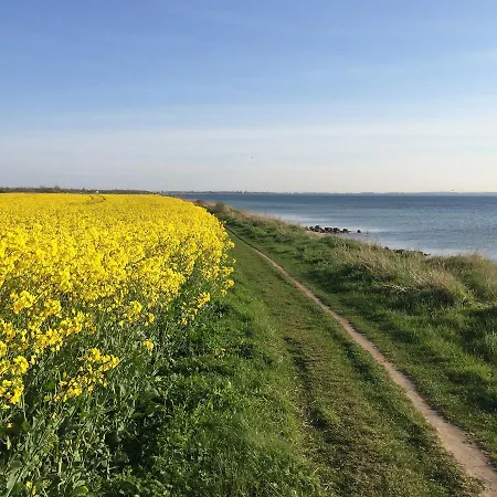 Prázdninový dům Haus Deichblick - Wulfen Auf - #92207 Fehmarn